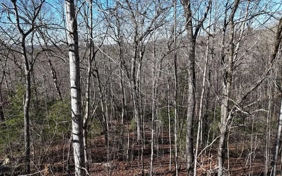 LOT37 Mountain Valley Lane, Blairsville, GA 30512 - #2