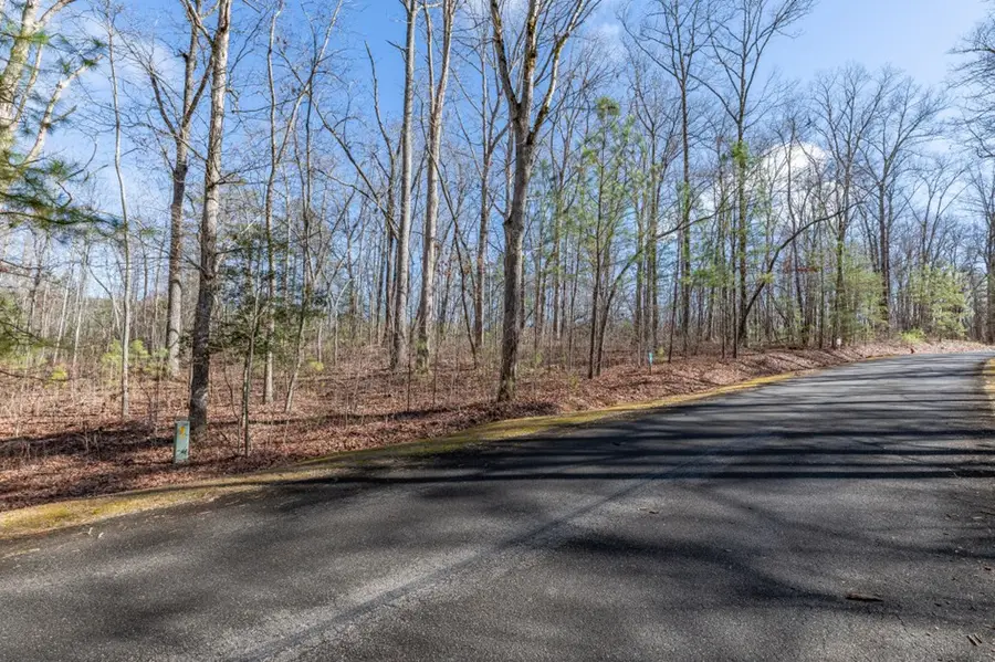 Lot 50 Tranquility @ Carters Lake, Ellijay, GA 30540 - #2