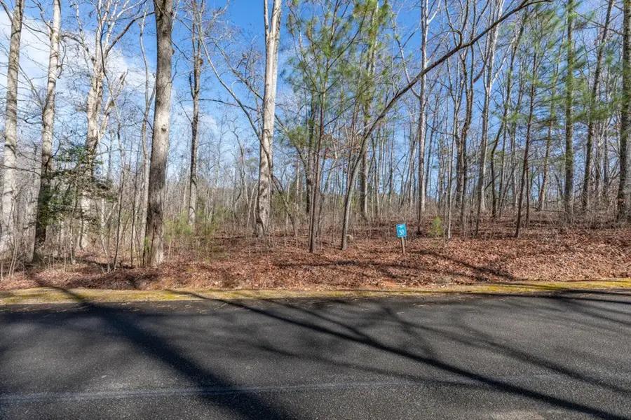 Lot 50 Tranquility @ Carters Lake, Ellijay, GA 30540 - #3