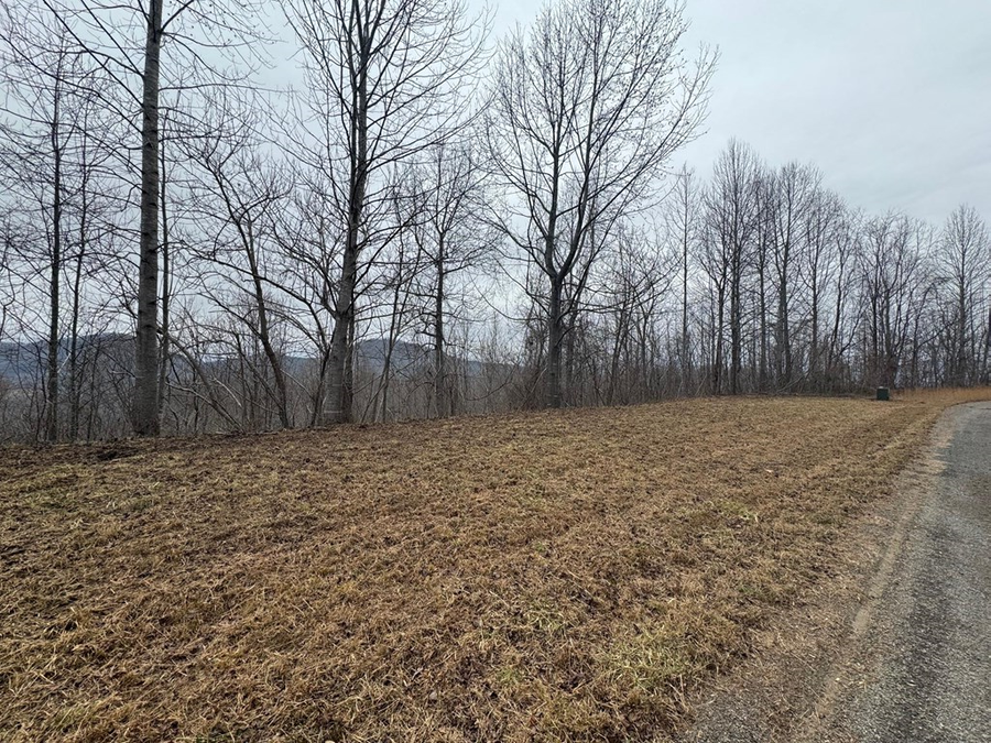 Lot 10 Chatuge Manor Drive, Young Harris, GA 30582 - Image #3