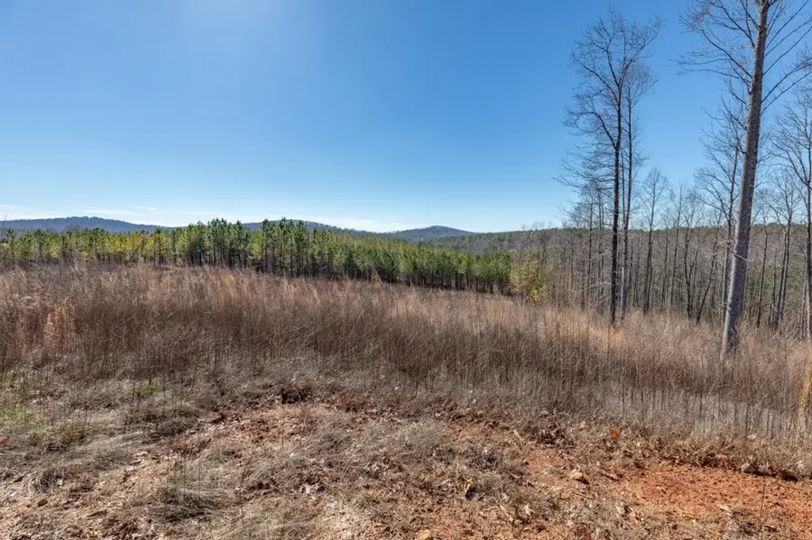 271 Highgrove Drive, Talking Rock, GA 30175 - #3