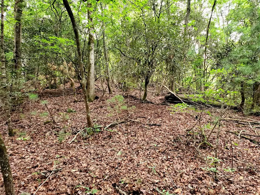 10.61 E Charlies Creek Road, Hiawassee, GA 30546 - #2