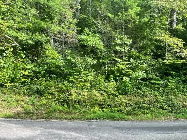 10.61 E Charlies Creek Road, Hiawassee, GA 30546 - #3