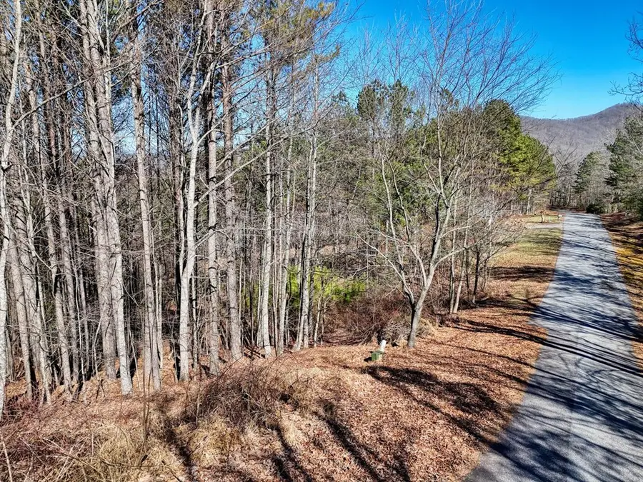 Lot 24 Loftis Mountain, Blairsville, GA 30512 - Image #3