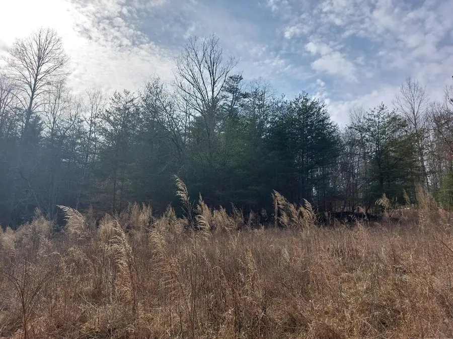 0 Richlen Ridge Road, Morganton, GA 30560 - Image #2