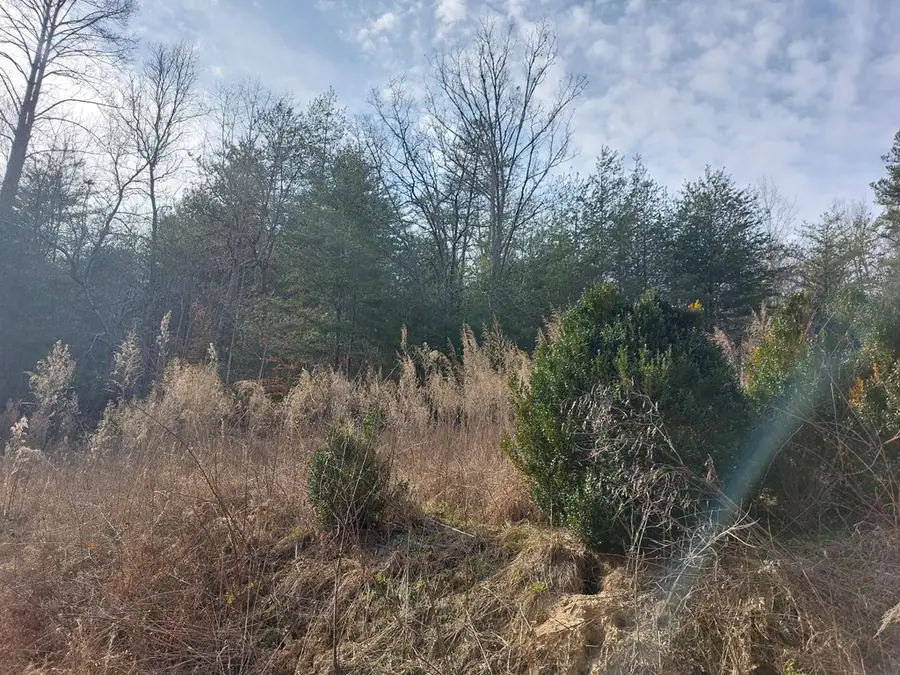 0 Richlen Ridge Road, Morganton, GA 30560 - Image #3