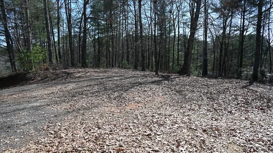 2379 Craigtown Road, Ellijay, GA 30540 - Image #2