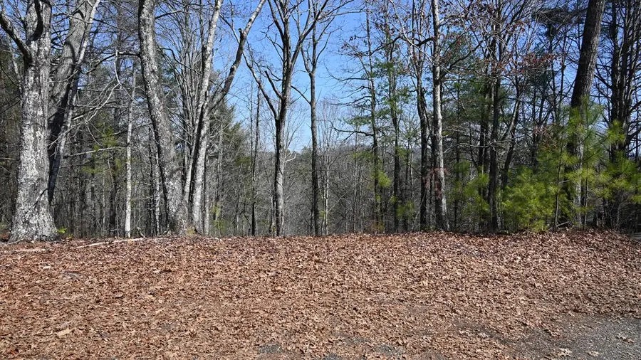 2379 Craigtown Road, Ellijay, GA 30540 - Image #3