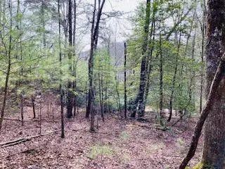 12.8 ac Fisher Field Road, Blairsville, GA 30512 - #1