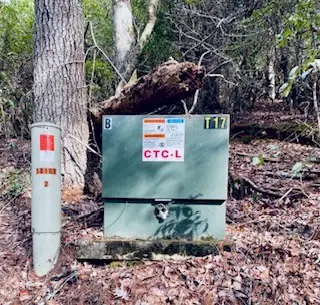 12.8 ac Fisher Field Road, Blairsville, GA 30512 - #2