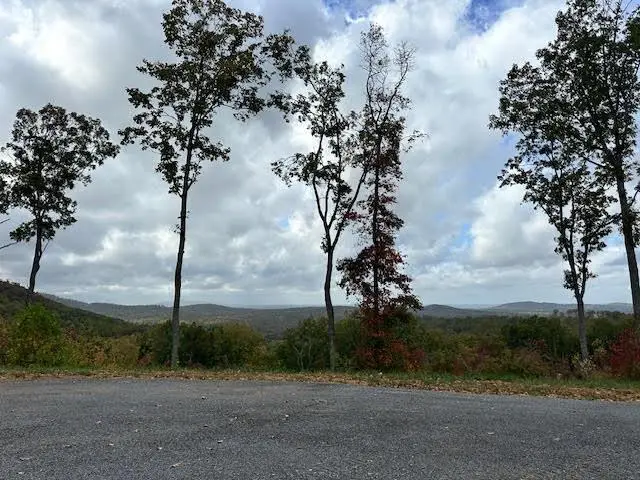 Lot 173 Shagbark Court, North Gilmer, GA 30541 - Image #1