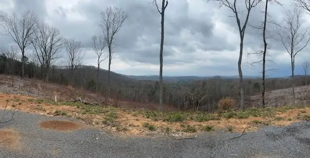 Lot 173 Shagbark Court, North Gilmer, GA 30541 - Image #2