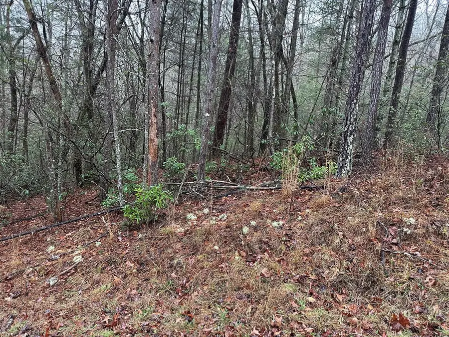 0 Graham Court, Ellijay, GA 30540 - Image #2