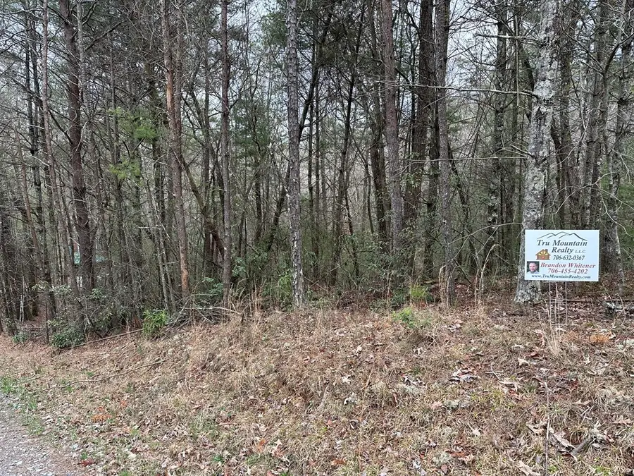 0 Graham Court, Ellijay, GA 30540 - Image #3