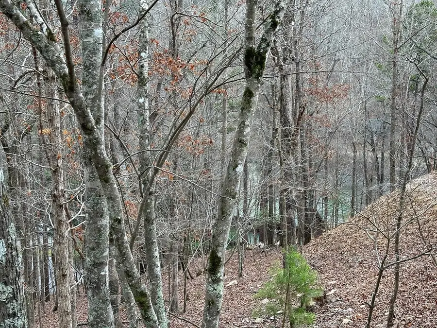 0 Dawn Court, Ellijay, GA 30540 - Image #2