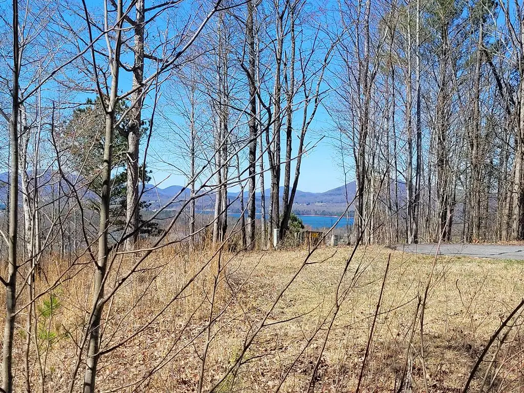 Lot 25 Dan Knob Drive, Hayesville, NC 28904 - Image #1