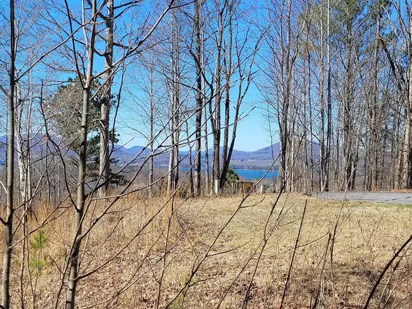 Lot 25 Dan Knob Drive #25, Hayesville, NC 28904