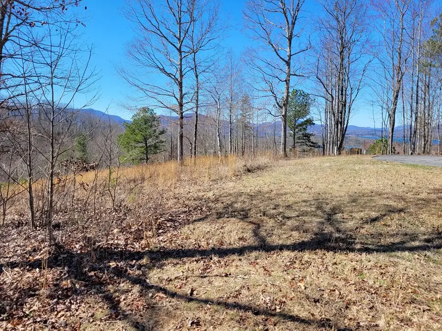 Lot 25 Dan Knob Drive, Hayesville, NC 28904 - Image #2