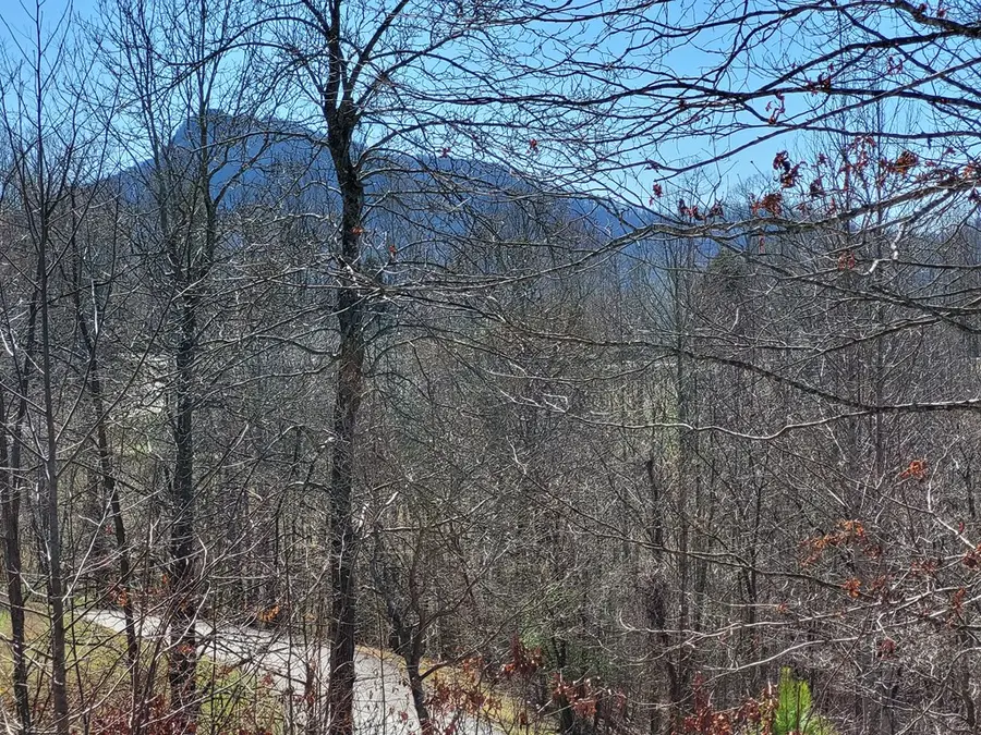 Lot 25 Dan Knob Drive, Hayesville, NC 28904 - Image #3