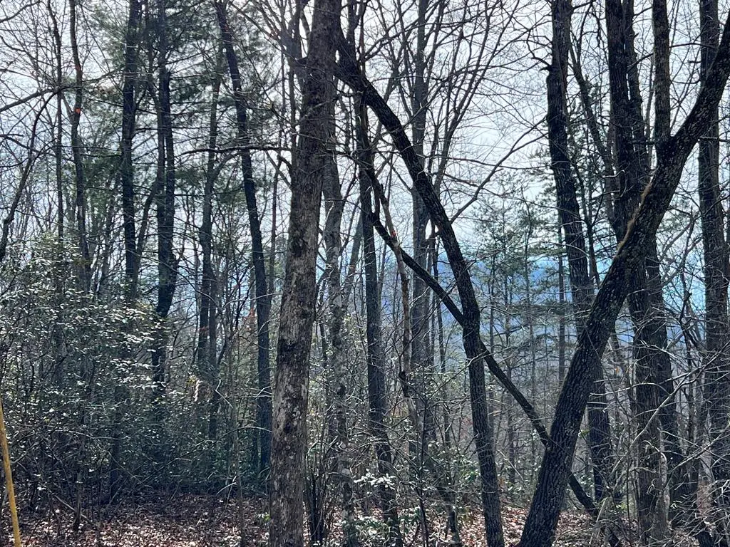 Lts 8&49 Penland Indian Trail, Hayesville, NC 28904 - Image #1