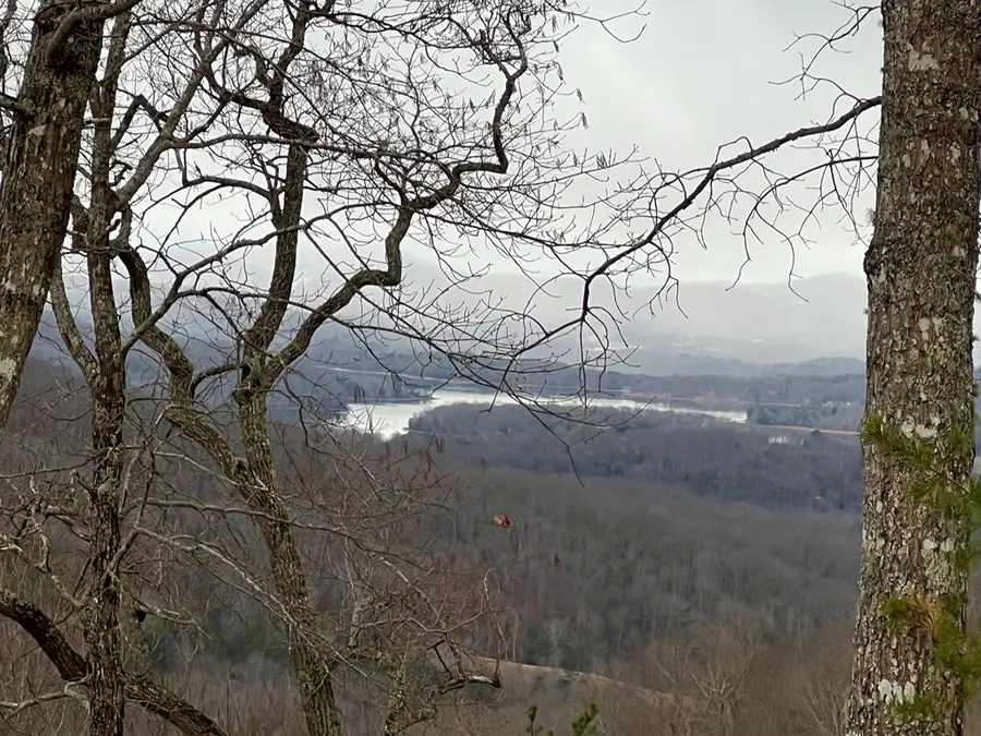 Lot 137 Shiloh #137, Hayesville, NC 28904 - Image #2