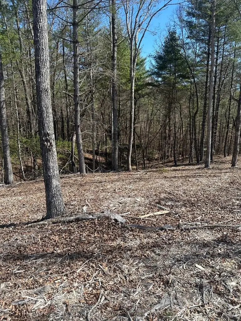Lot 188 The Ridges, Morganton, GA 30560 - #1