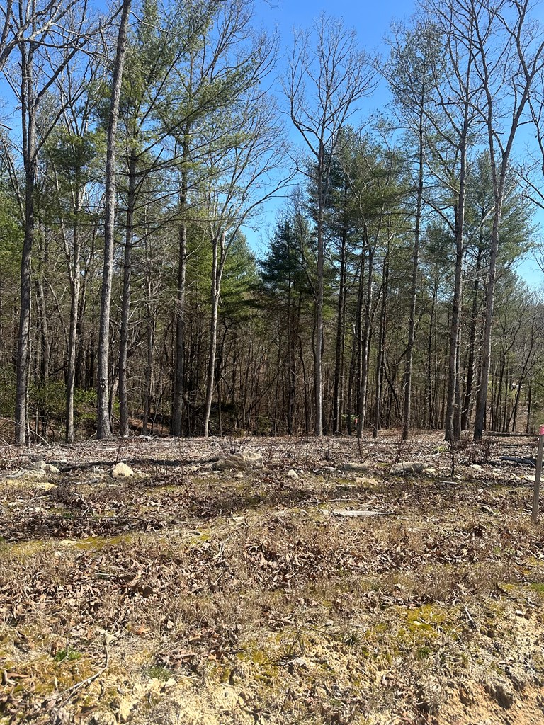 Lot 188 The Ridges, Morganton, GA 30560 - #3