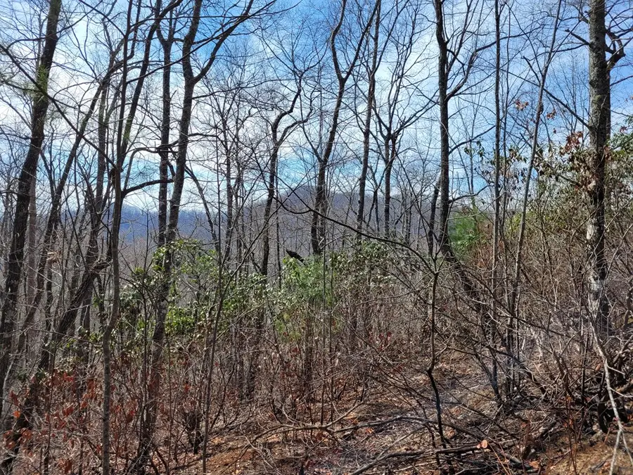 14 Flaming Ridge, Hayesville, NC 28904 - Image #2