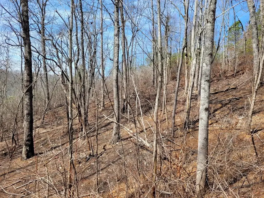 14 Flaming Ridge, Hayesville, NC 28904 - Image #3