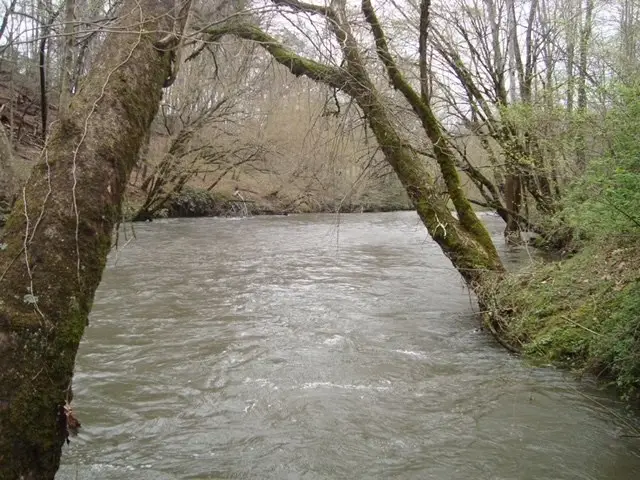 TBD Turkey Walk Drive, Marble, NC 28905 - Image #2