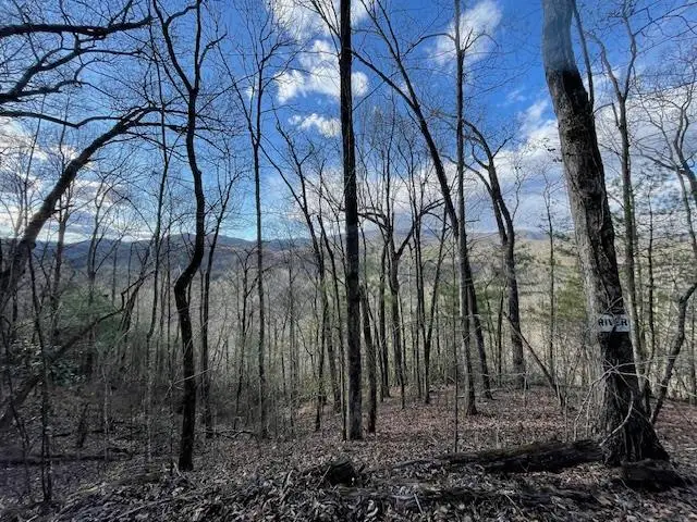 TBD Turkey Walk Drive, Marble, NC 28905 - Image #3