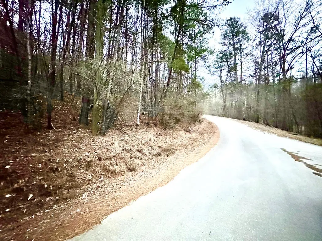 Lot 1237 Fugue Drive, Ellijay, GA 30540 - #1