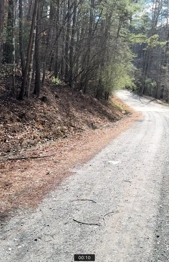 Lot 1237 Fugue Drive, Ellijay, GA 30540 - #2