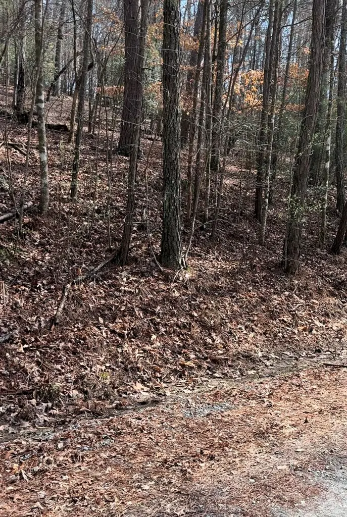 Lot 1237 Fugue Drive, Ellijay, GA 30540 - #3