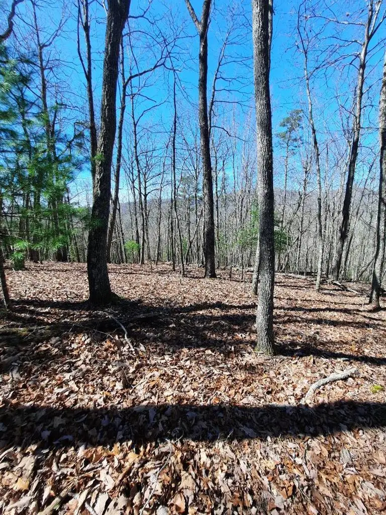 Lot # 7 Quail Run Ridge, Murphy, NC 28906 - Image #2