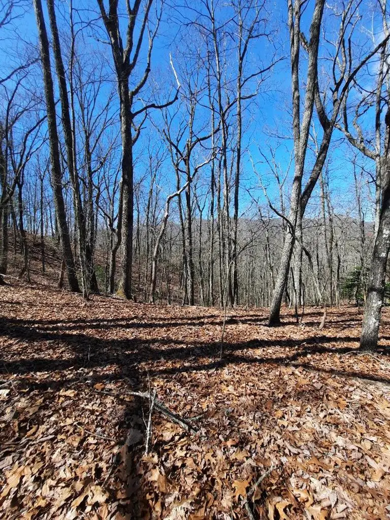 Lot # 7 Quail Run Ridge, Murphy, NC 28906 - Image #3