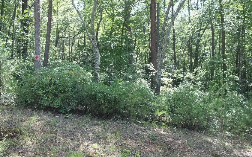 Lot 44 Solitude Lane, Blairsville, GA 30512 - Image #1