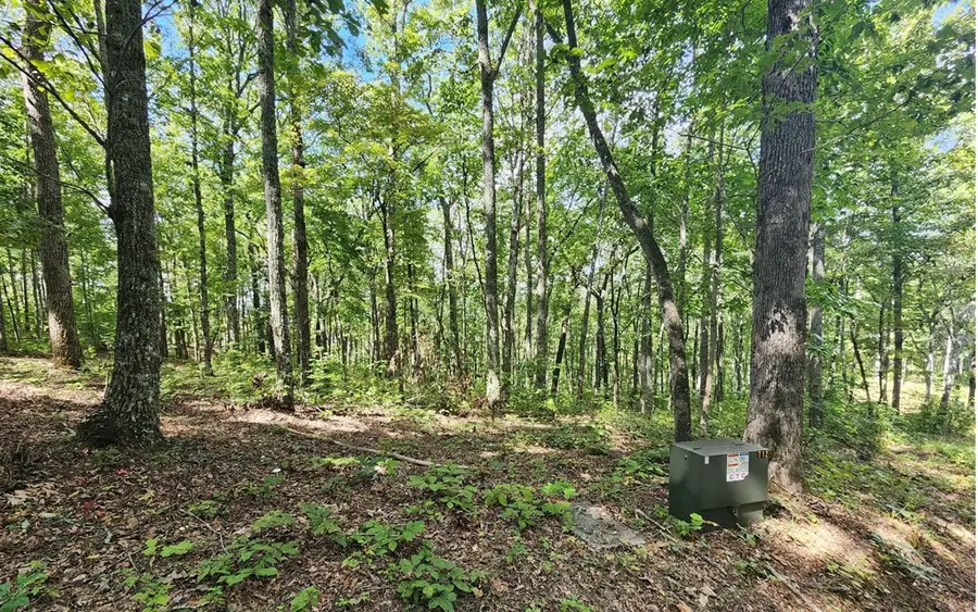 0 Lakeview Heights, Hayesville, NC 28904 - Image #2