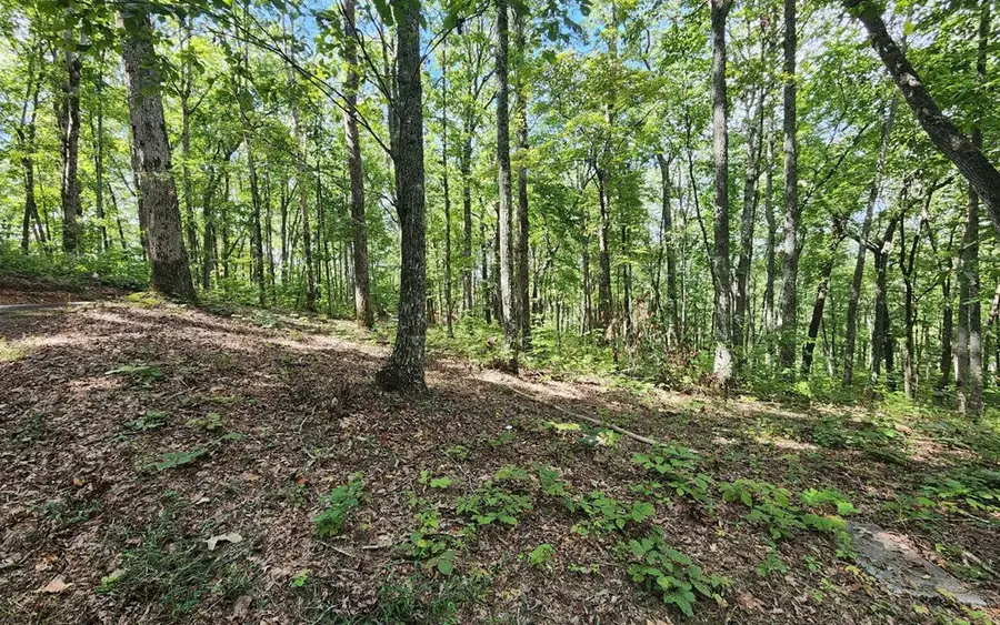 0 Lakeview Heights, Hayesville, NC 28904 - Image #3