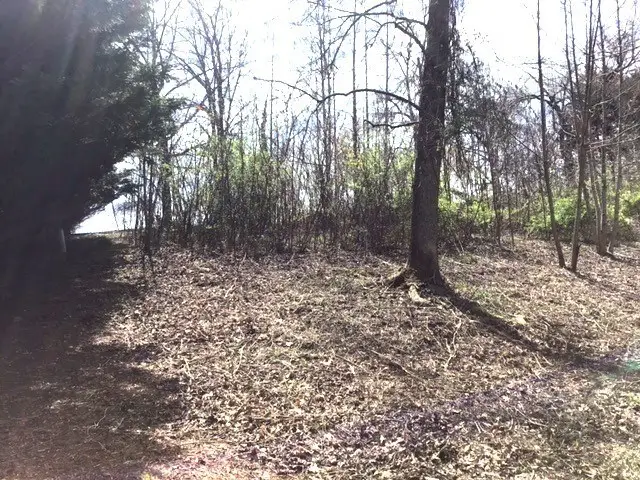 LOT 28 Sneaking Creek, Hiawassee, NC 28906 - Image #2