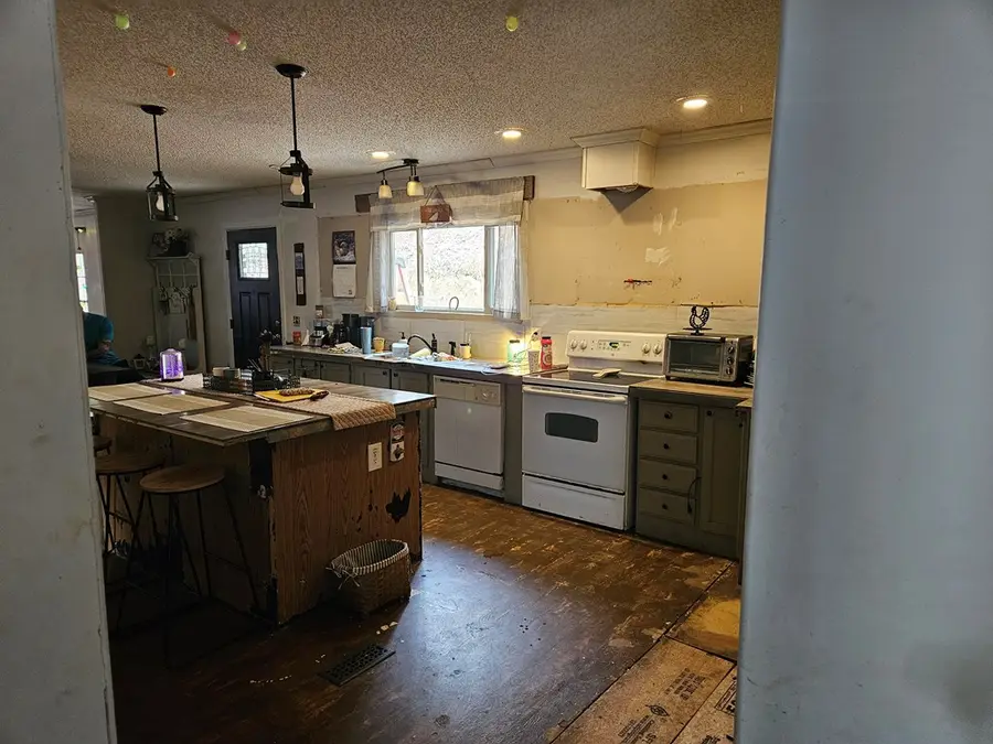 224 Adam Ct, Ellijay, GA 30540 - Image #2