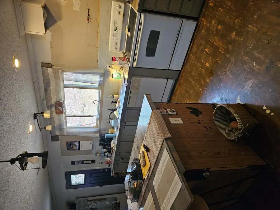 224 Adam Ct, Ellijay, GA 30540 - Image #3