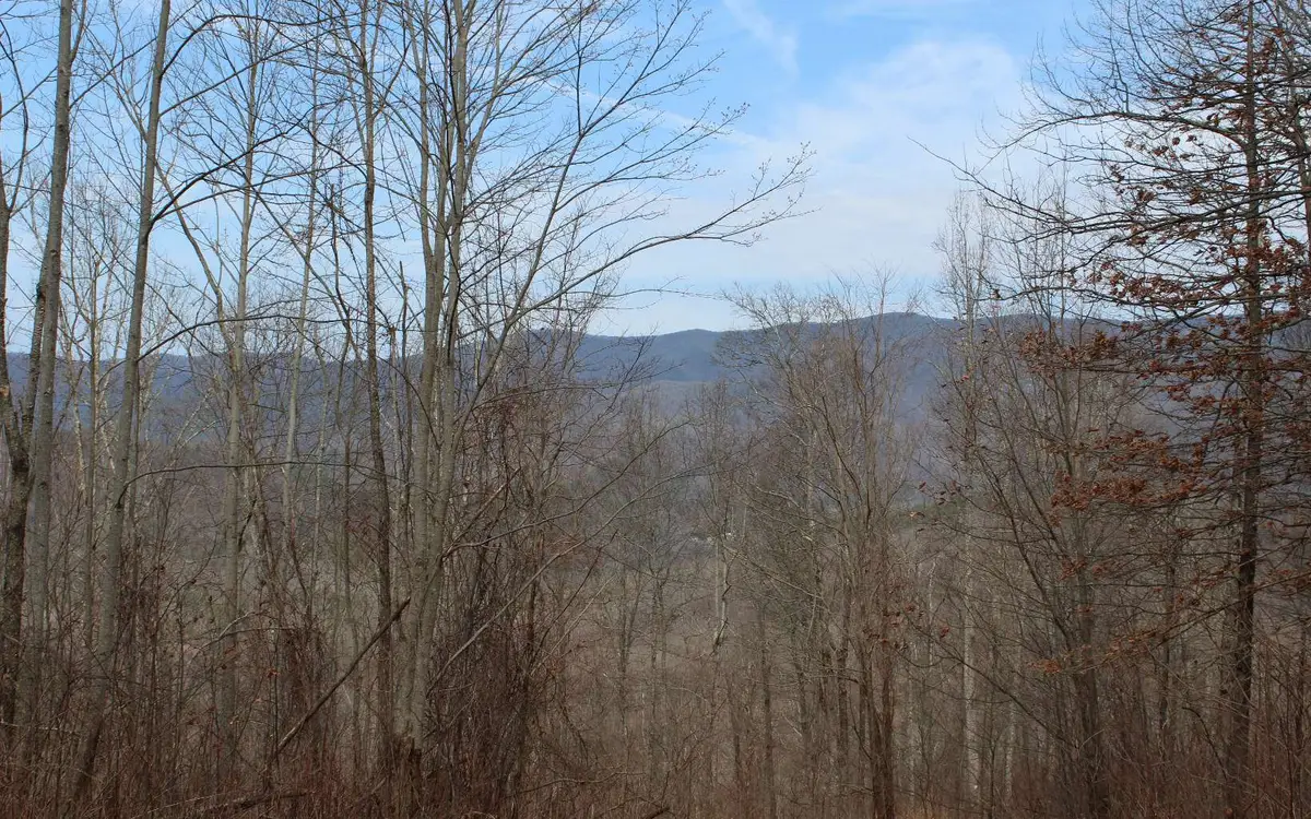 LT15 N Ridge High Meadows, Hayesville, NC 28904 - Image #1