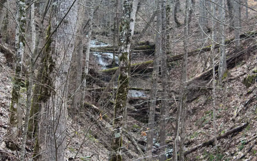 LT15 N Ridge High Meadows, Hayesville, NC 28904 - Image #2