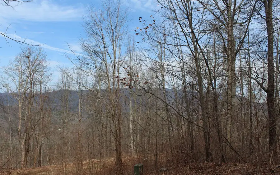 LT15 N Ridge High Meadows, Hayesville, NC 28904 - Image #3