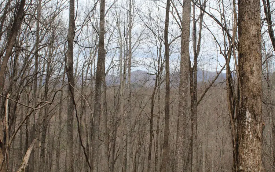 1&1A N Ridge High Meadows, Hayesville, NC 28904 - Image #3