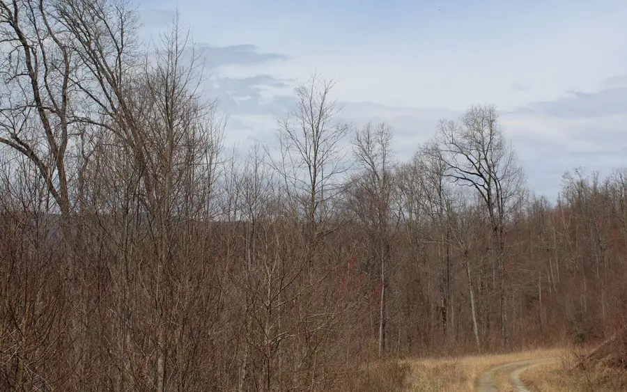 27&28 N Ridge High Meadows, Hayesville, NC 28904 - Image #2