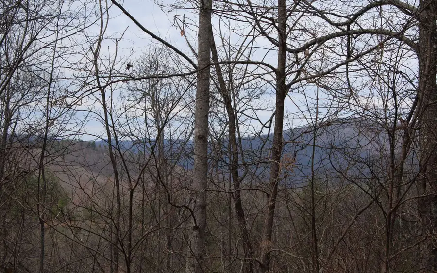 27&28 N Ridge High Meadows, Hayesville, NC 28904 - Image #3