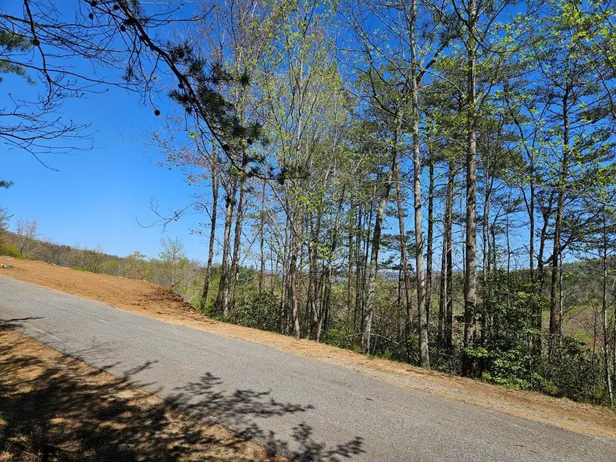 5.2 Deer Crest Road, Blue Ridge, GA 30513 - #3