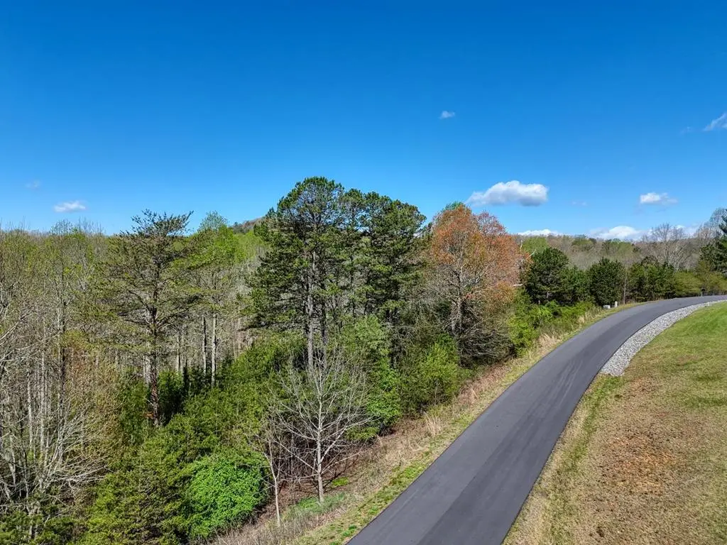 Lot 44 Owen Vista, Blairsville, GA 30512 - Image #1